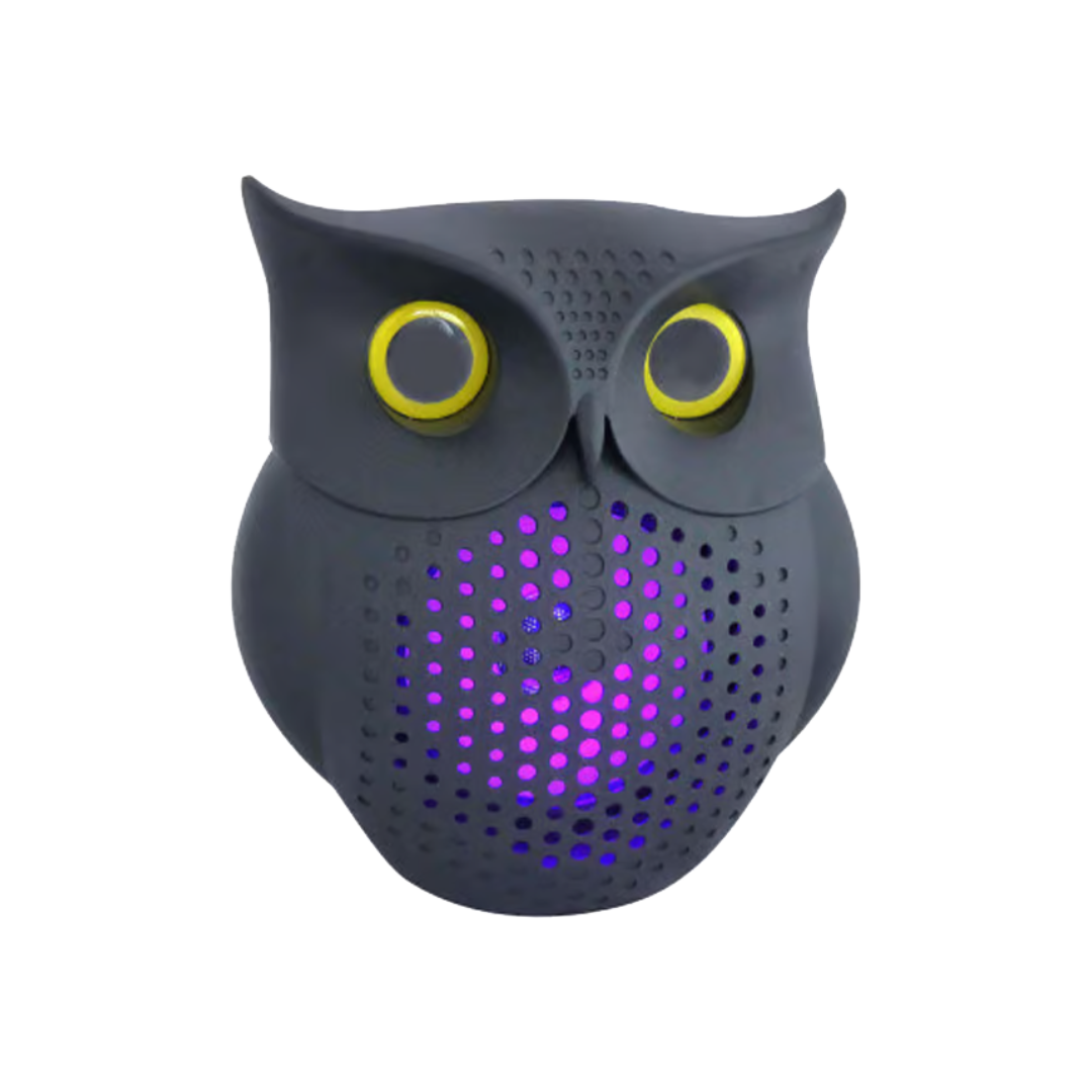 Mini enceinte
